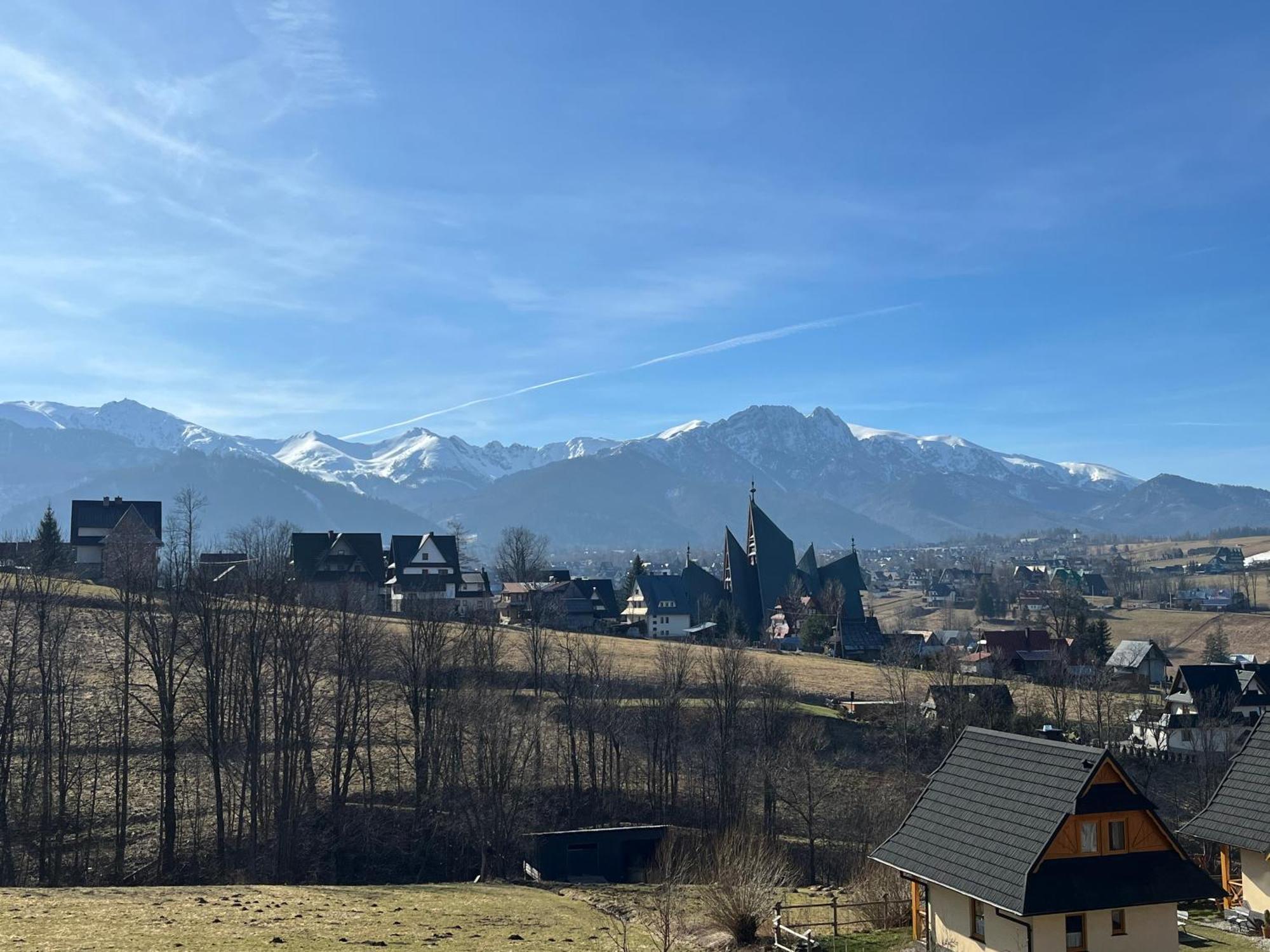 Muzykant Gasthof Zakopane